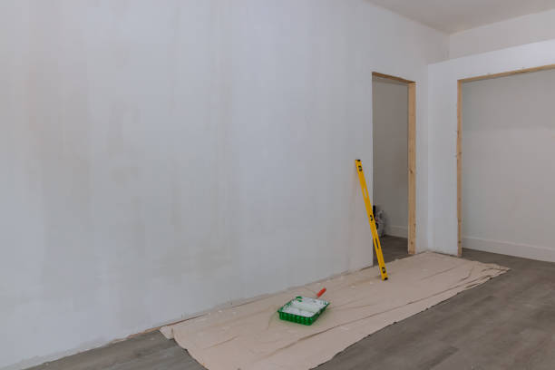 Best Drywall Removal and Disposal  in Sugar Land, TX